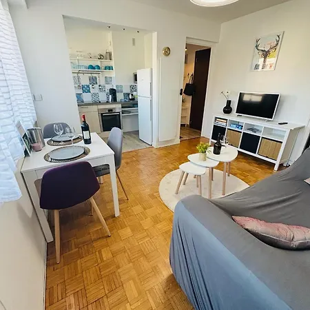 Apartment F2 Lumineux 40 M2 Face Aux Thermes De Thonon. *