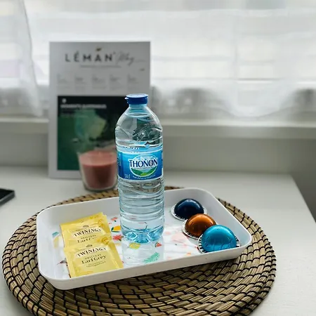 Apartment F2 Lumineux 40 M2 Face Aux Thermes De Thonon. *